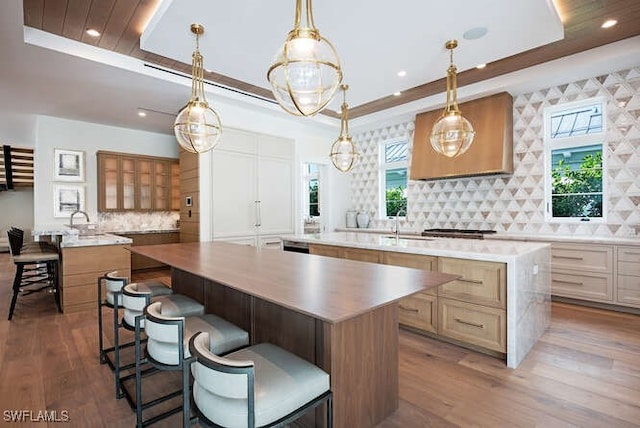 kitchen with a tray ceiling, tasteful backsplash, and hardwood / wood-style flooring