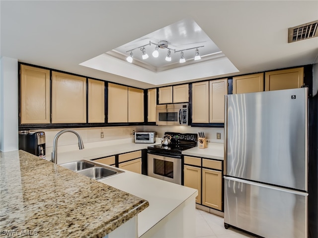 kitchen with a raised ceiling, light stone counters, appliances with stainless steel finishes, and sink