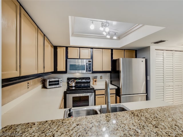 kitchen with a raised ceiling, light brown cabinets, appliances with stainless steel finishes, and track lighting