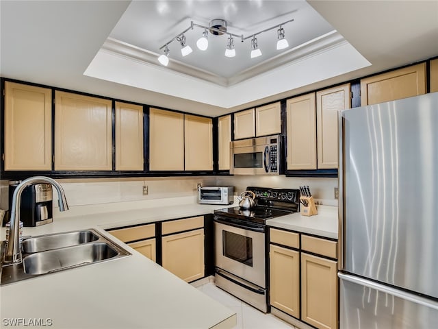 kitchen with appliances with stainless steel finishes, rail lighting, a tray ceiling, and sink