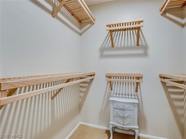 spacious closet featuring carpet floors