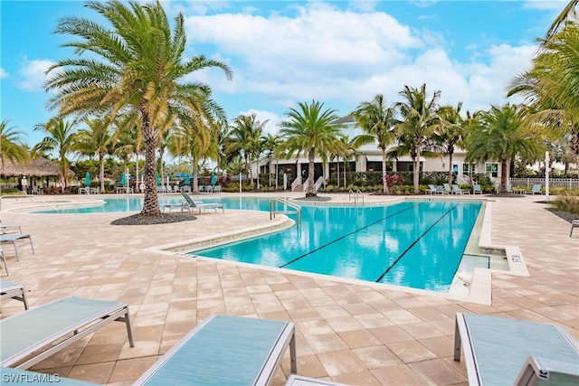 view of pool featuring a patio