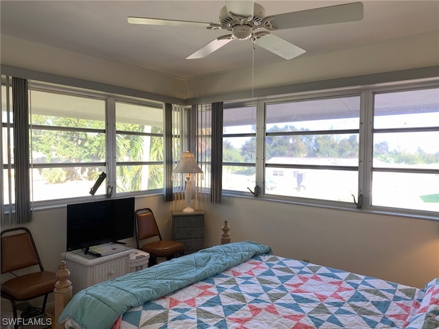 bedroom with multiple windows and ceiling fan