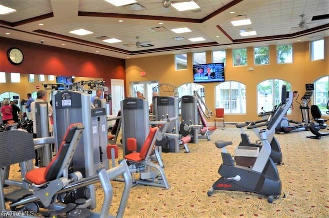 workout area featuring a drop ceiling, carpet floors, ceiling fan, and a high ceiling