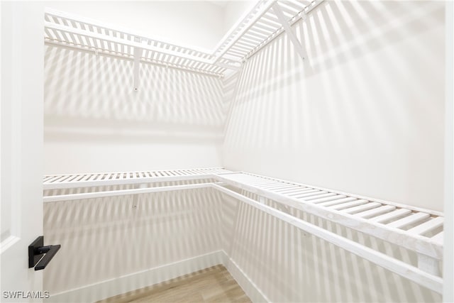 walk in closet featuring wood-type flooring