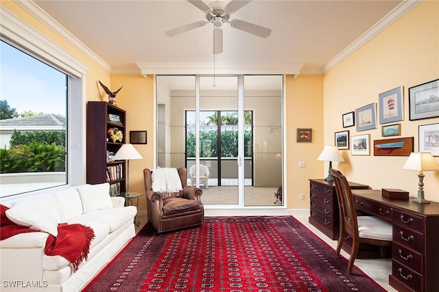 office area with ceiling fan and ornamental molding