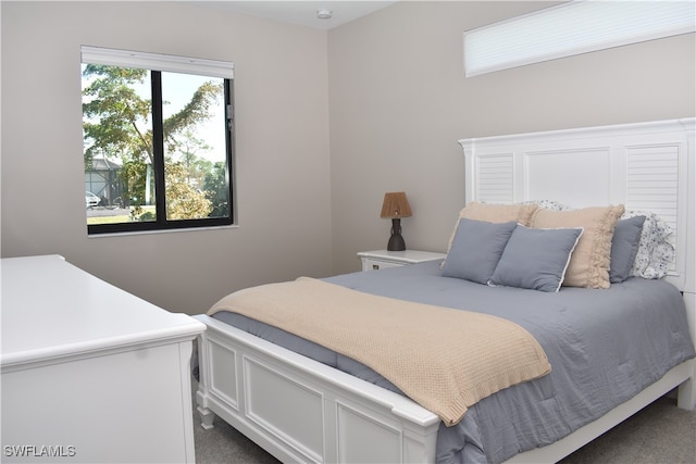 bedroom featuring carpet floors