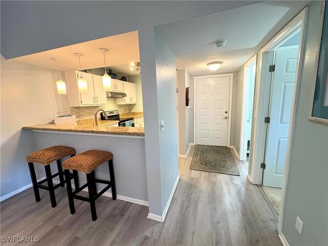 14861 Summerlin Woods Dr Unit 13, Fort Myers, FL 33919 - kitchen featuring under cabinet range hood, tasteful backsplash, stainless steel electric stove, wood finished floors, and white cabinetry