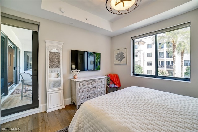 bedroom featuring wood-type flooring and a tray ceiling