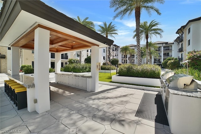 view of property's community with a patio and an outdoor kitchen