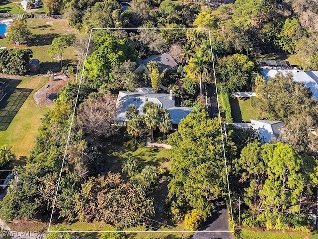 drone / aerial view