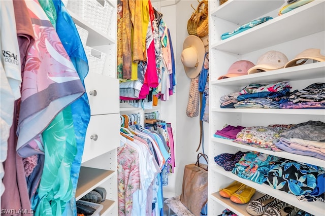 view of spacious closet