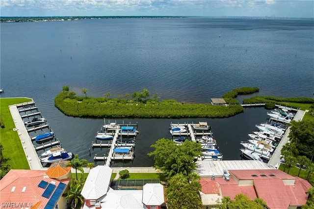 birds eye view of property with a water view