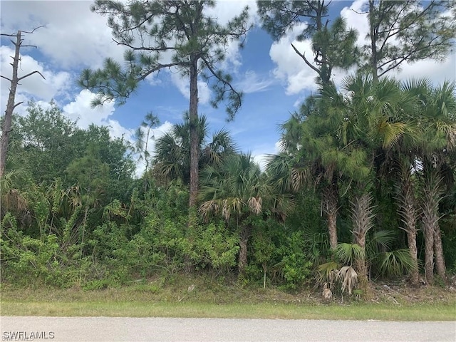 20th Ave SE, Naples FL, 34117 land for sale