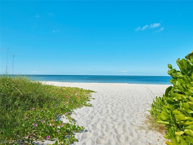 property view of water featuring a beach view