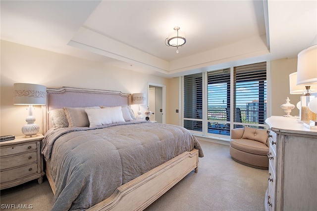 carpeted bedroom with a tray ceiling