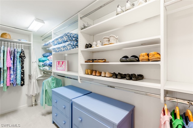 spacious closet featuring light colored carpet