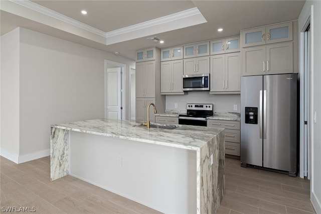 kitchen with sink, stainless steel appliances, a tray ceiling, and a kitchen island with sink