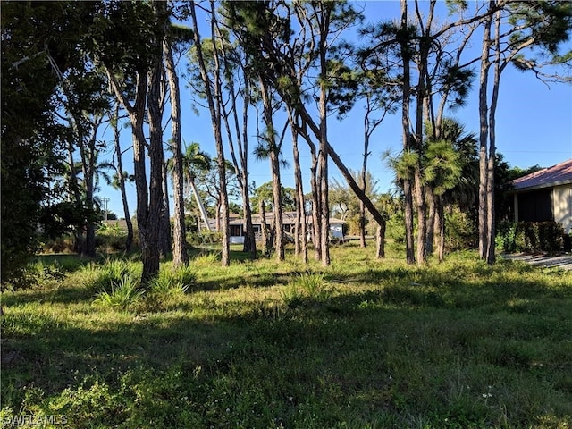 118 1st Ave, Marco Island FL, 34145 land for sale