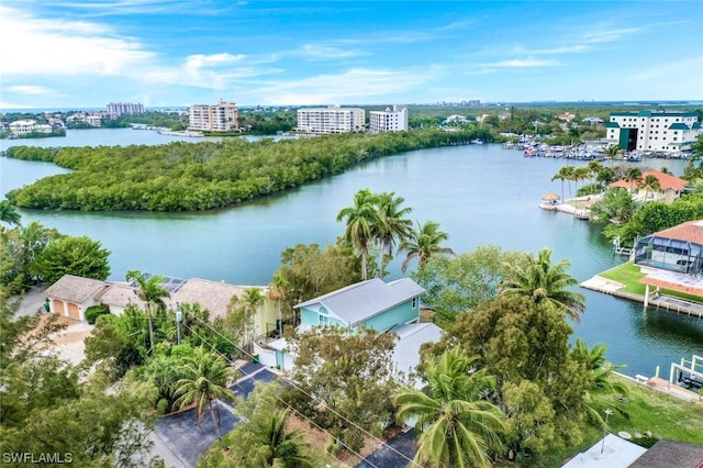 aerial view with a water view