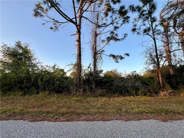 12150 Vaughan Ave, Port Charlotte FL, 33981 land for sale