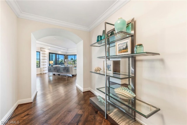 hallway with dark hardwood / wood-style flooring and crown molding