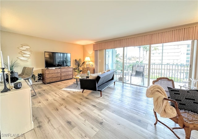 living room featuring a wealth of natural light and light hardwood / wood-style flooring