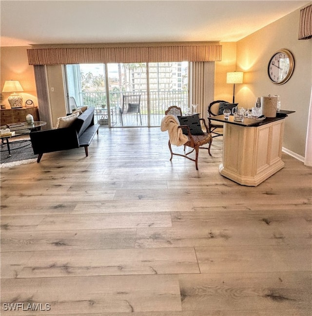 living area featuring light hardwood / wood-style floors and a healthy amount of sunlight