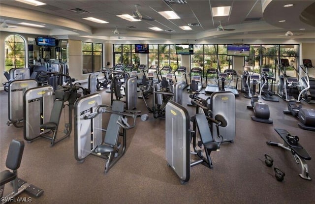 workout area with a paneled ceiling, ceiling fan, and plenty of natural light