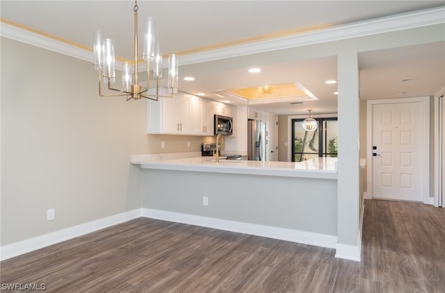 kitchen with decorative light fixtures, appliances with stainless steel finishes, white cabinets, a tray ceiling, and dark hardwood / wood-style floors