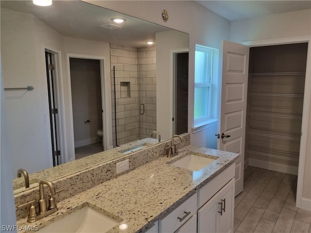 bathroom with vanity, toilet, and a shower with shower door