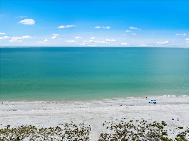 view of water feature featuring a beach view