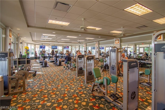 workout area featuring carpet flooring, ceiling fan, and a paneled ceiling