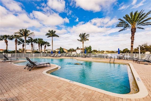 view of swimming pool featuring a patio