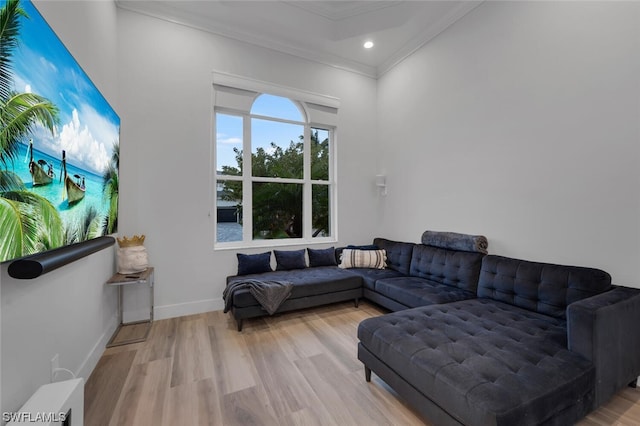 living room with ornamental molding and light hardwood / wood-style floors