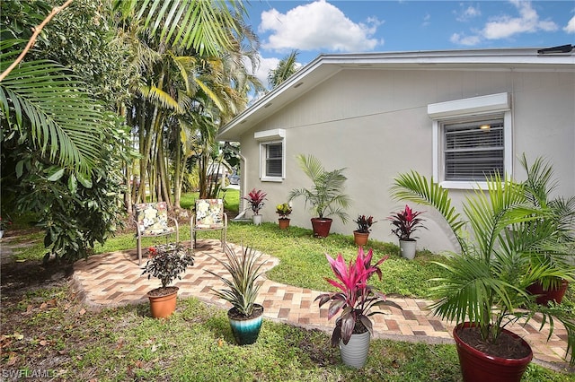 view of yard featuring a patio area