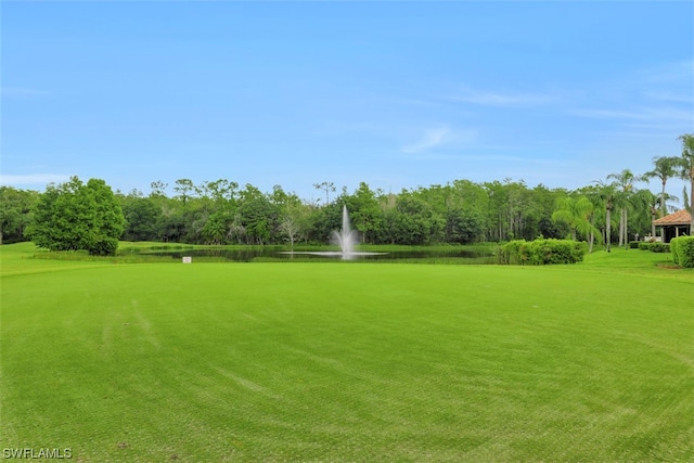 view of community featuring a lawn and a water view