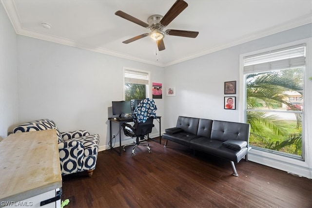 office with ceiling fan, dark hardwood / wood-style floors, and crown molding