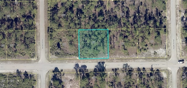 904 W 17th St, Lehigh Acres FL, 33972 land for sale