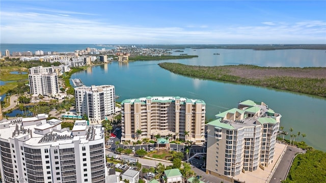 bird's eye view with a water view