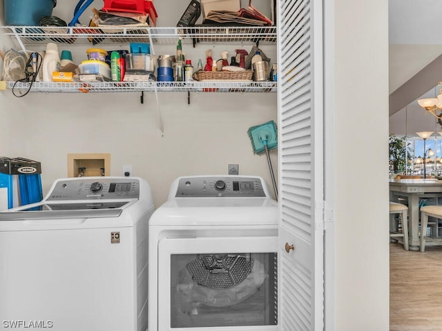 washroom with hookup for a washing machine, separate washer and dryer, light hardwood / wood-style floors, and hookup for an electric dryer