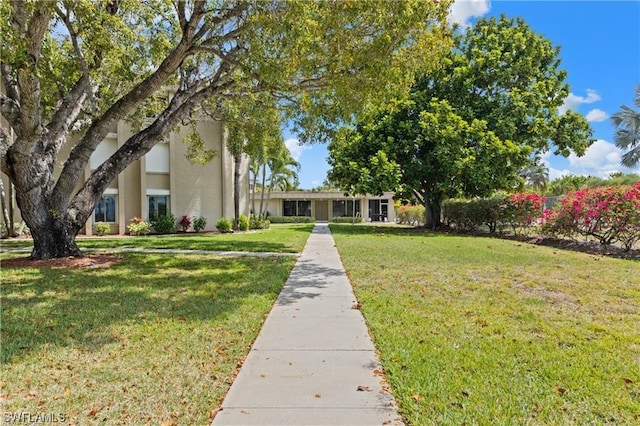 view of front of house with a front lawn and stucco siding