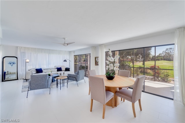 dining room featuring ceiling fan and a healthy amount of sunlight