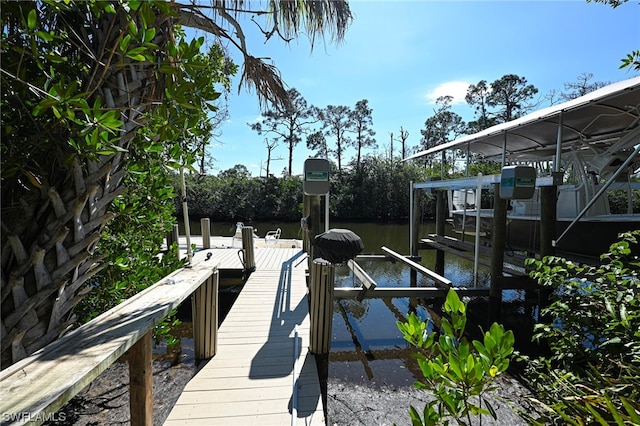 dock area with a water view