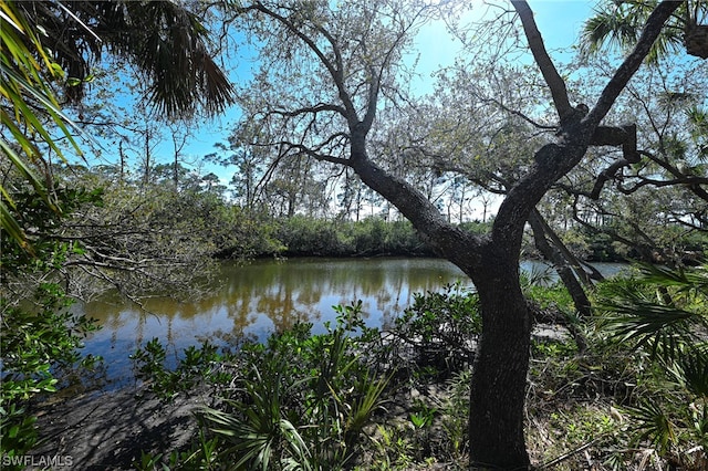 view of property view of water