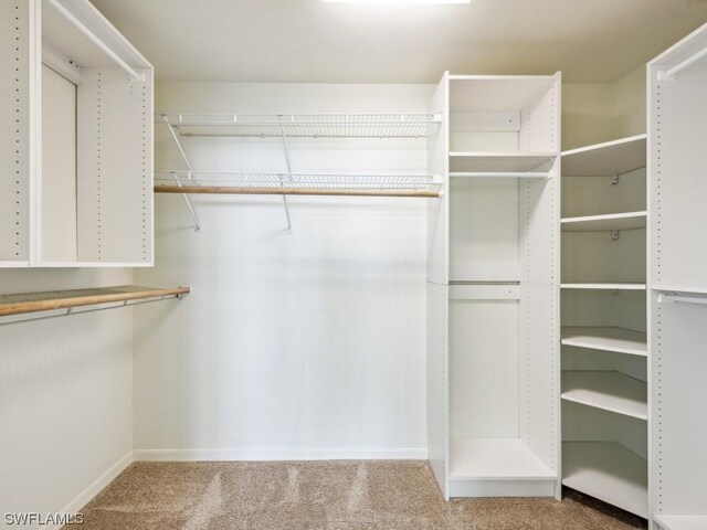 walk in closet with carpet