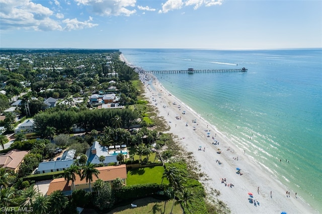 bird's eye view with a water view and a view of the beach