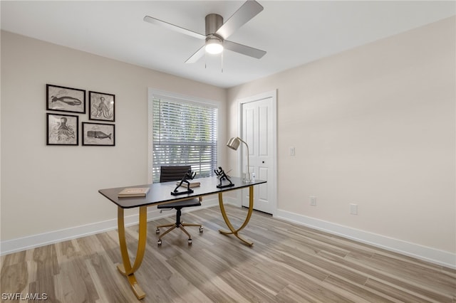 office space featuring light hardwood / wood-style flooring and ceiling fan