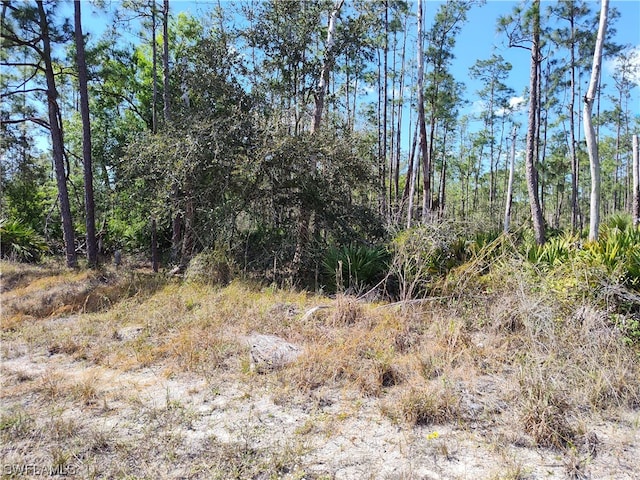 1405 Sheldon Ave, Lehigh Acres FL, 33972 land for sale