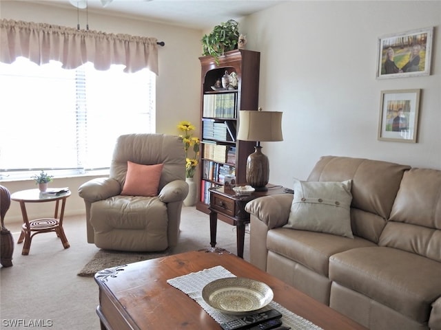 living room with carpet floors